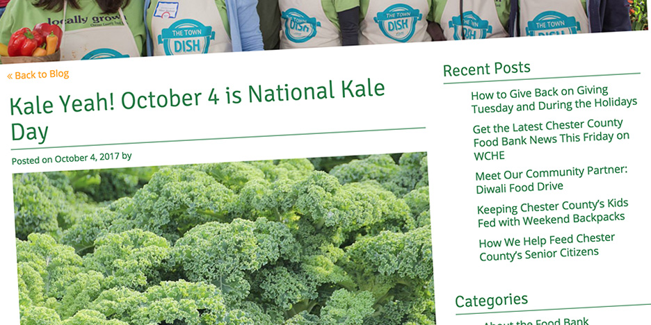 Chesco-Food-Bank--National-Kale-Day-HERO