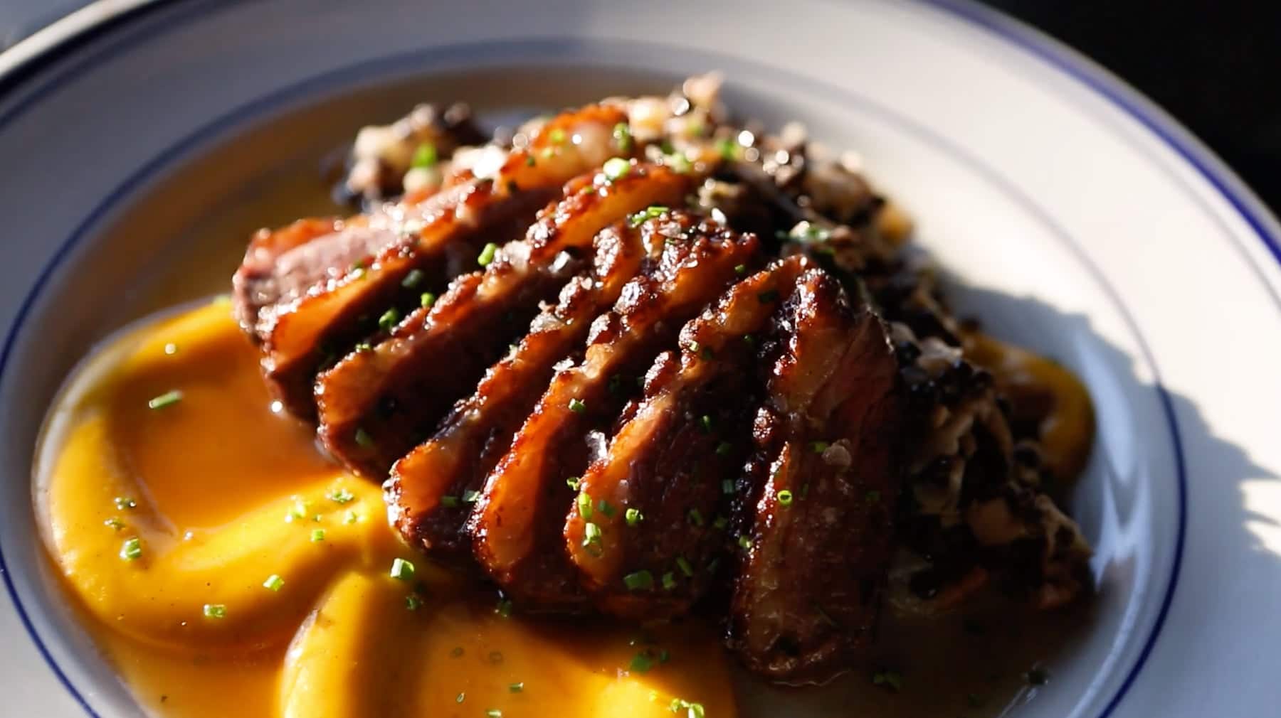 Video Duck Dish Works