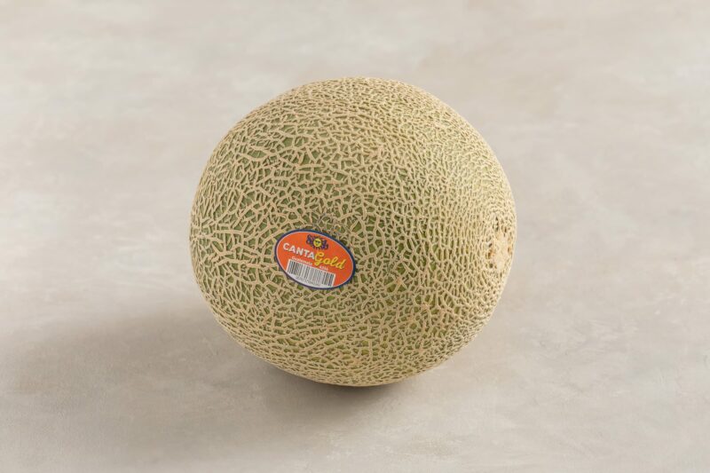 MELONP15A_MELON BEAUTY IMAGES ON GREY