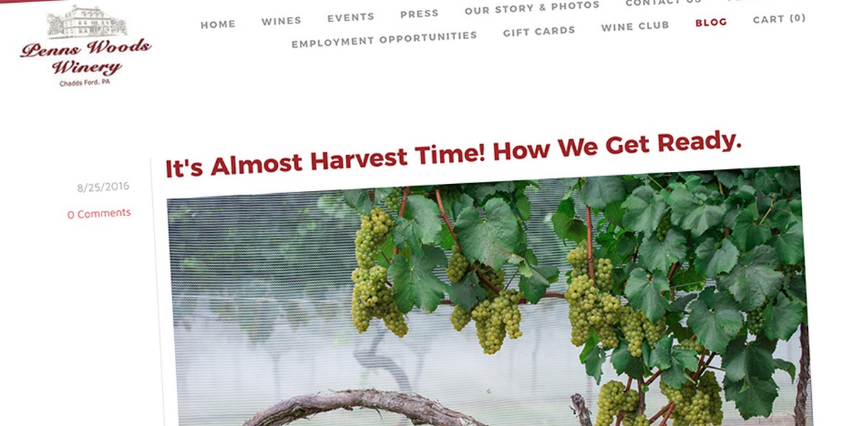 Penns-Woods-Winery--Its-Almost-Harvest-Time!-How-We-Get-Ready-HERO