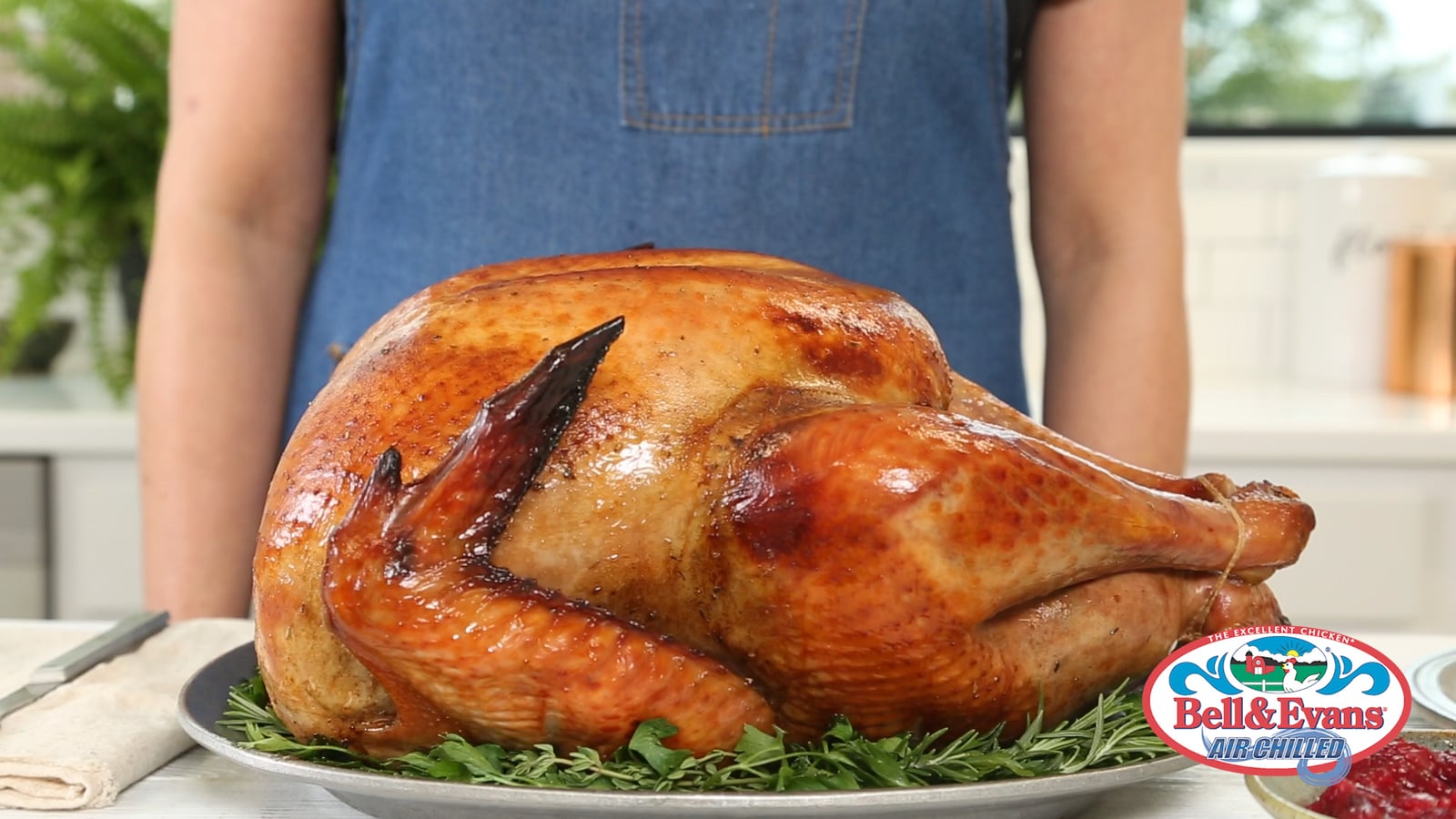 Video How to Roast a Turkey Dish Works