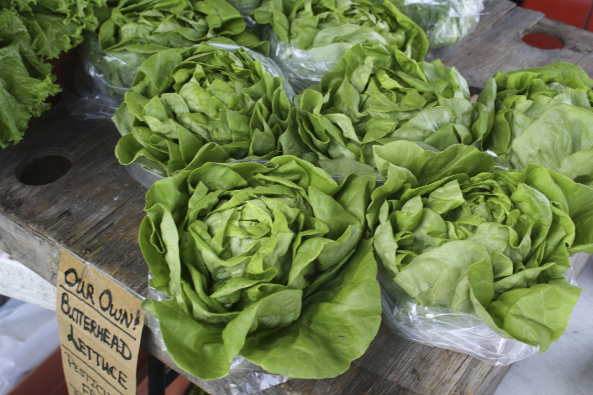 farm market lettuce